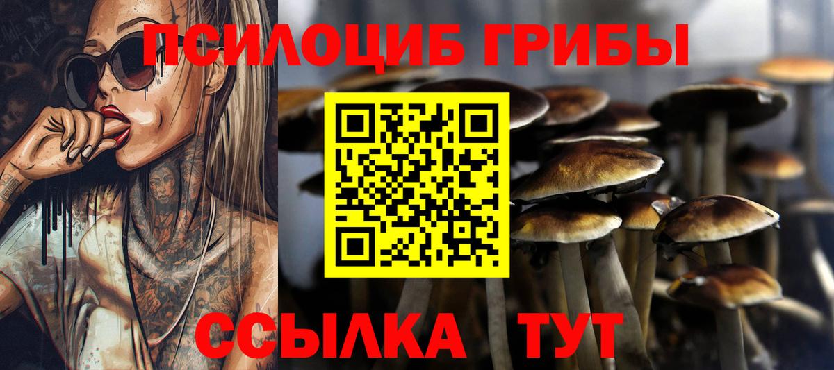 Псилоцибиновые грибы Psilocybe Урай